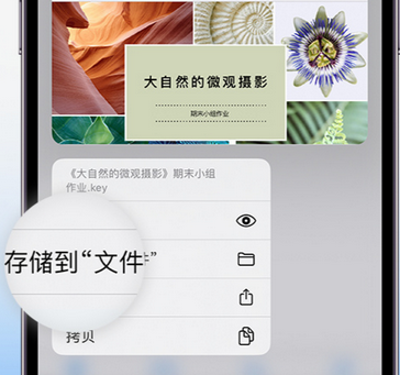 汾西apple维修中心分享iPhone文件应用中存储和找到下载文件