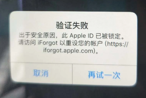 汾西iPhone维修分享iPhone上正常登录或使用AppleID怎么办 