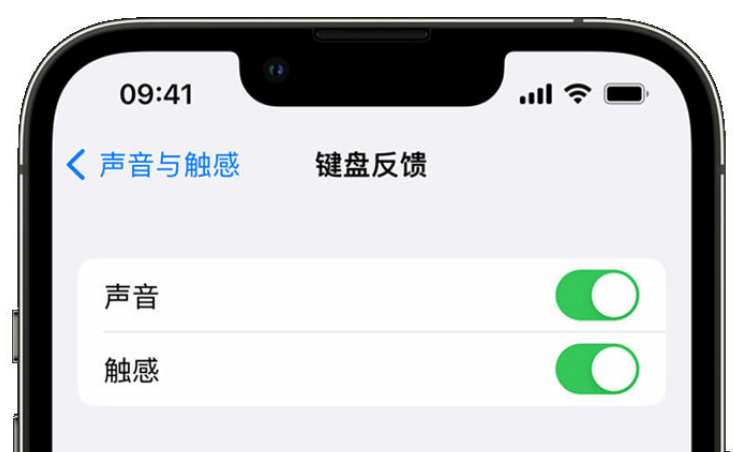 汾西苹果手机维修分享iPhone 14触感键盘使用方法 