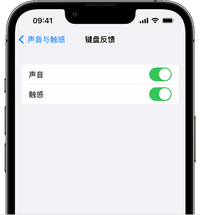 汾西苹果14维修店分享如何在 iPhone 14 机型中使用触感键盘 