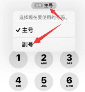 汾西苹果14维修店分享iPhone 14 Pro Max使用副卡打电话的方法 