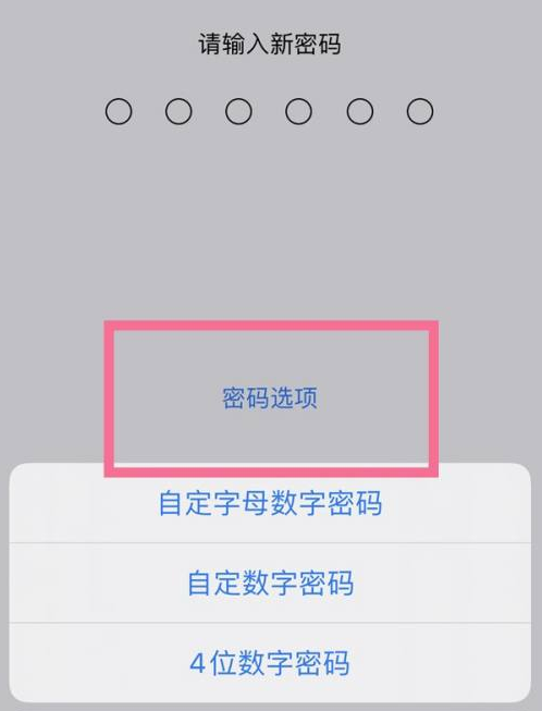 汾西苹果14维修分享iPhone 14plus设置密码的方法 
