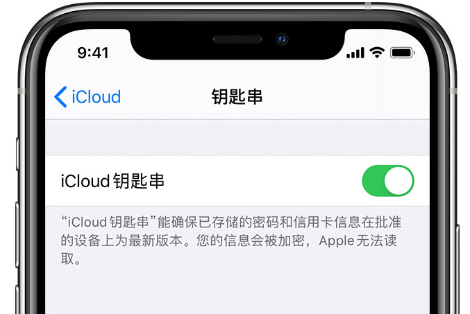 汾西苹果手机维修分享在 iPhone 上开启 iCloud 钥匙串之后会储存哪些信息 