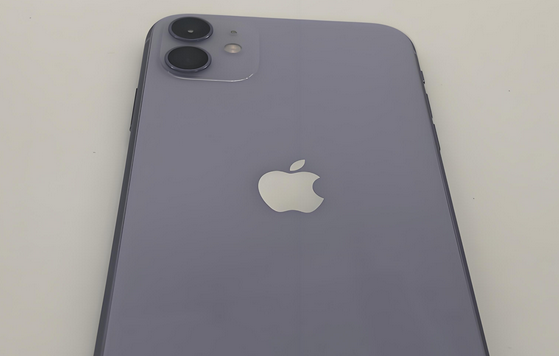 汾西苹果11系统维修分享iPhone11手机系统崩溃无法开机如何解决 